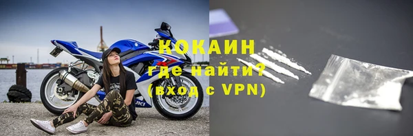 ГАЛЛЮЦИНОГЕННЫЕ ГРИБЫ Лагань