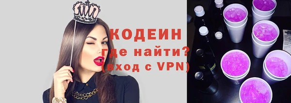 ГАЛЛЮЦИНОГЕННЫЕ ГРИБЫ Лагань
