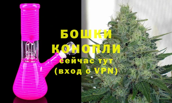 ГАЛЛЮЦИНОГЕННЫЕ ГРИБЫ Лагань