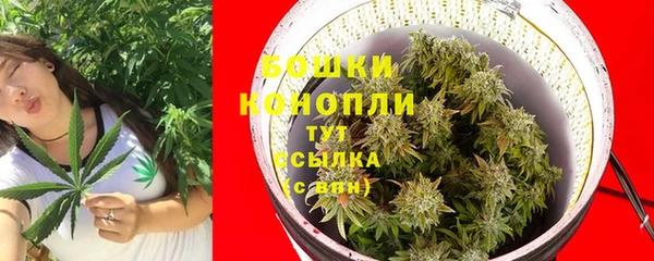 ГАЛЛЮЦИНОГЕННЫЕ ГРИБЫ Лагань