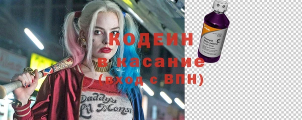 ГАЛЛЮЦИНОГЕННЫЕ ГРИБЫ Лагань