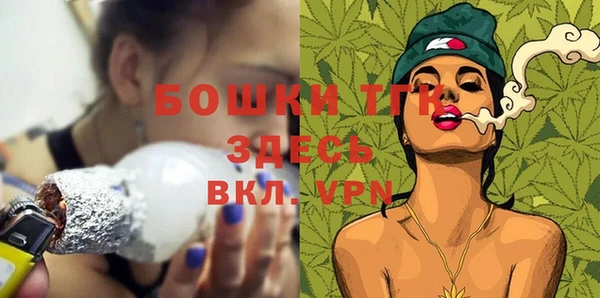 ГАЛЛЮЦИНОГЕННЫЕ ГРИБЫ Лагань