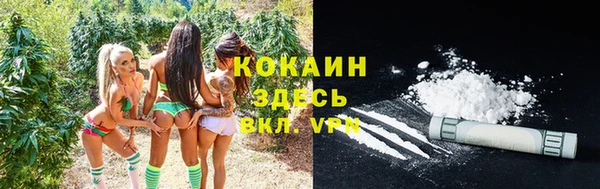ГАЛЛЮЦИНОГЕННЫЕ ГРИБЫ Лагань