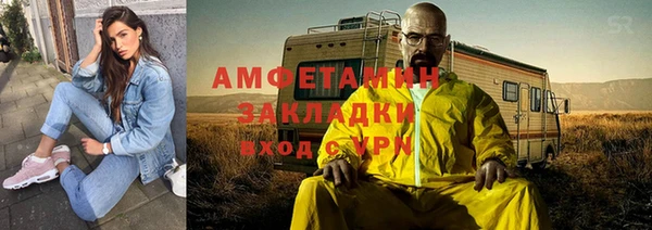 ГАЛЛЮЦИНОГЕННЫЕ ГРИБЫ Лагань