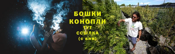 ГАЛЛЮЦИНОГЕННЫЕ ГРИБЫ Лагань