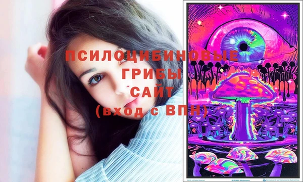 ГАЛЛЮЦИНОГЕННЫЕ ГРИБЫ Лагань