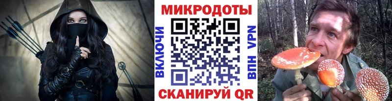 Купить где Камызяк Галлюциногенные грибы Cubensis